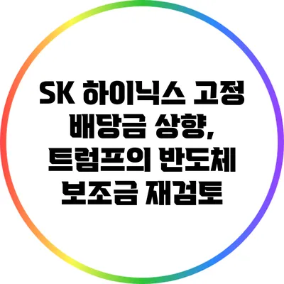 SK 하이닉스 고정 배당금 상향, 트럼프의 반도체 보조금 재검토