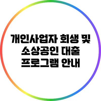 개인사업자 회생 및 소상공인 대출 프로그램 안내