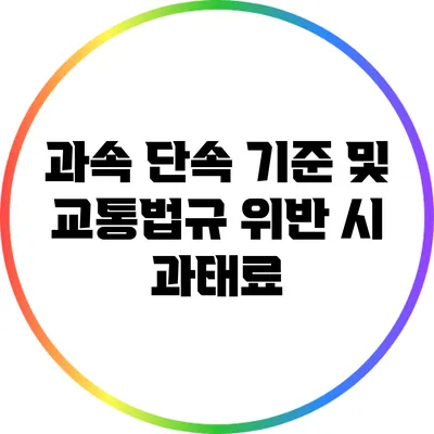 과속 단속 기준 및 교통법규 위반 시 과태료