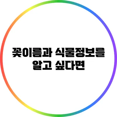 꽃이름과 식물정보를 알고 싶다면?