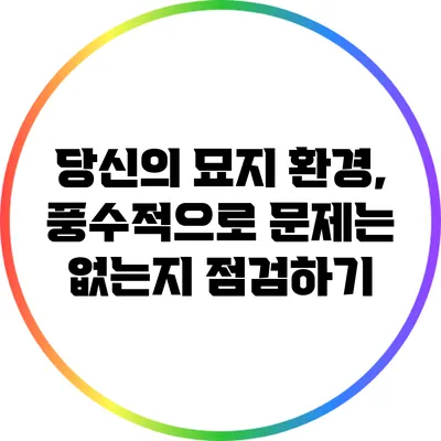 당신의 묘지 환경, 풍수적으로 문제는 없는지 점검하기