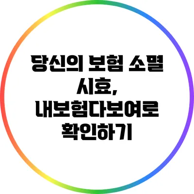 당신의 보험 소멸 시효, 내보험다보여로 확인하기