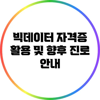 빅데이터 자격증 활용 및 향후 진로 안내