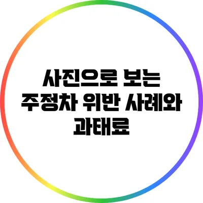 사진으로 보는 주정차 위반 사례와 과태료