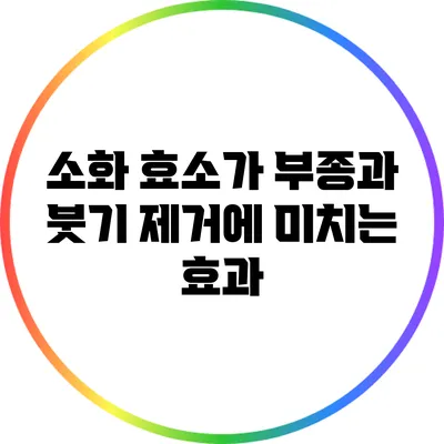 소화 효소가 부종과 붓기 제거에 미치는 효과