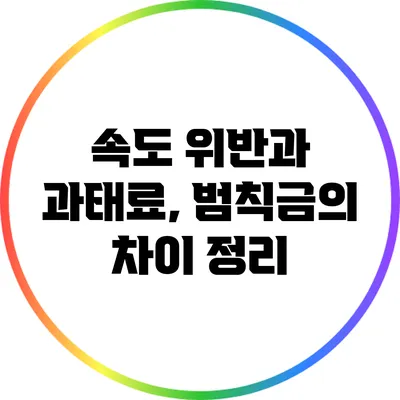 속도 위반과 과태료, 범칙금의 차이 정리