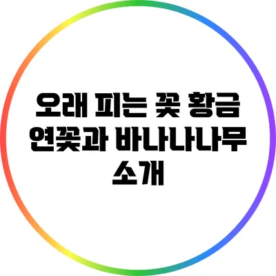 오래 피는 꽃: 황금 연꽃과 바나나나무 소개