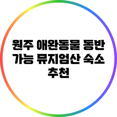 원주 애완동물 동반 가능 뮤지엄산 숙소 추천