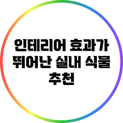 인테리어 효과가 뛰어난 실내 식물 추천