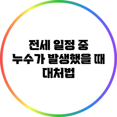 전세 일정 중 누수가 발생했을 때 대처법