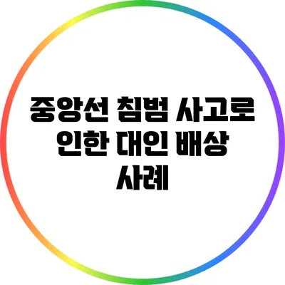 중앙선 침범 사고로 인한 대인 배상 사례
