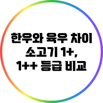 한우와 육우 차이: 소고기 1+, 1++ 등급 비교