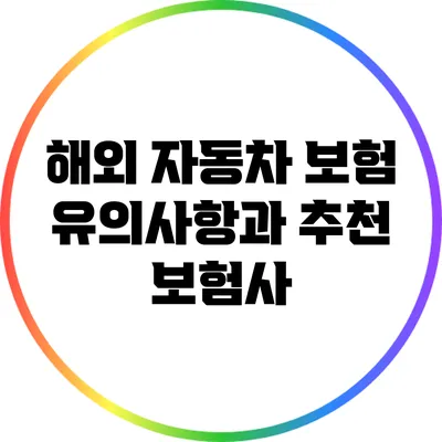 해외 자동차 보험: 유의사항과 추천 보험사