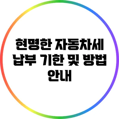 현명한 자동차세 납부: 기한 및 방법 안내