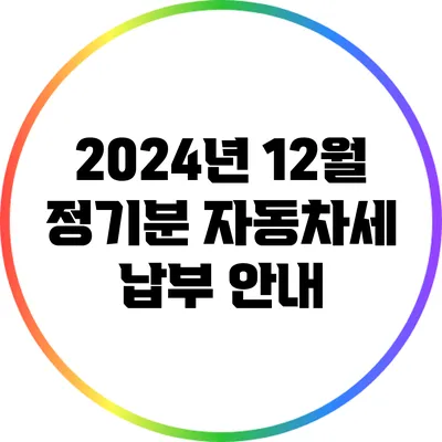 2024년 12월 정기분 자동차세 납부 안내