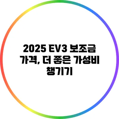 2025 EV3 보조금 가격, 더 좋은 가성비 챙기기