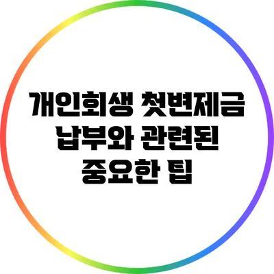 개인회생 첫변제금 납부와 관련된 중요한 팁