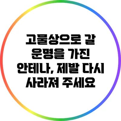 고물상으로 갈 운명을 가진 안테나, 제발 다시 사라져 주세요