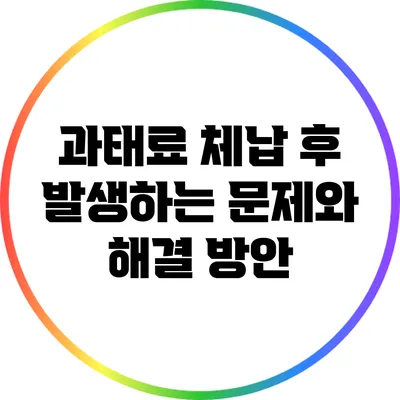 과태료 체납 후 발생하는 문제와 해결 방안