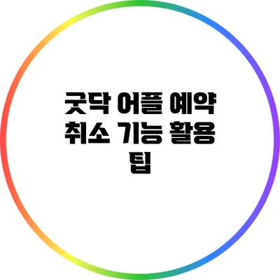 굿닥 어플: 예약 취소 기능 활용 팁