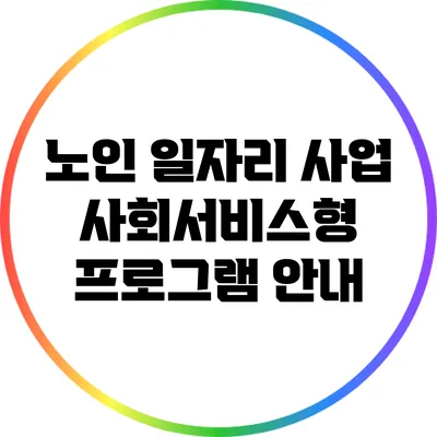 노인 일자리 사업: 사회서비스형 프로그램 안내