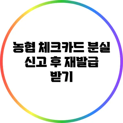 농협 체크카드 분실 신고 후 재발급 받기