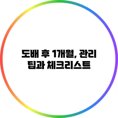 도배 후 1개월, 관리 팁과 체크리스트