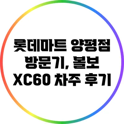 롯데마트 양평점 방문기, 볼보 XC60 차주 후기