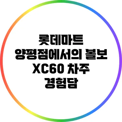 롯데마트 양평점에서의 볼보 XC60 차주 경험담