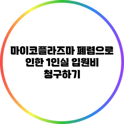 마이코플라즈마 폐렴으로 인한 1인실 입원비 청구하기