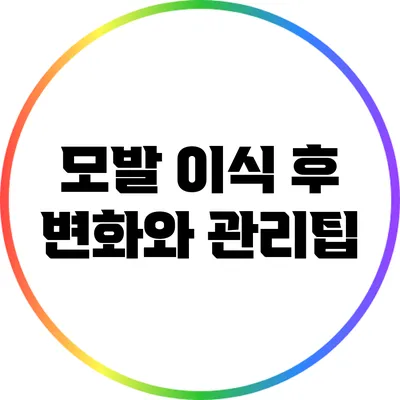 모발 이식 후 변화와 관리팁