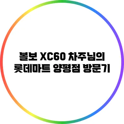볼보 XC60 차주님의 롯데마트 양평점 방문기