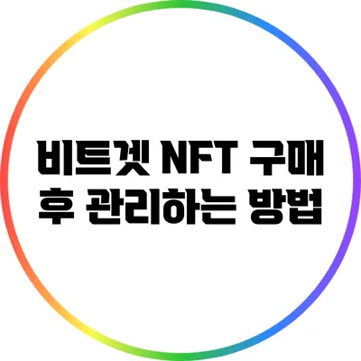 비트겟 NFT 구매 후 관리하는 방법