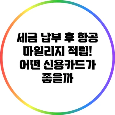 세금 납부 후 항공 마일리지 적립! 어떤 신용카드가 좋을까?