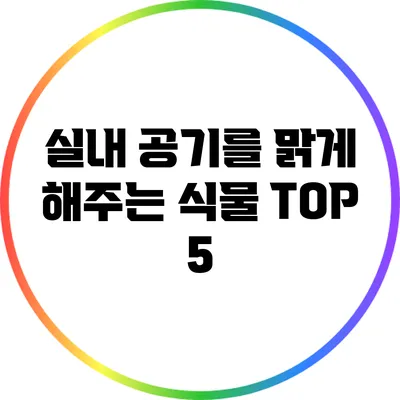 실내 공기를 맑게 해주는 식물 TOP 5