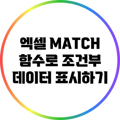 엑셀 MATCH 함수로 조건부 데이터 표시하기