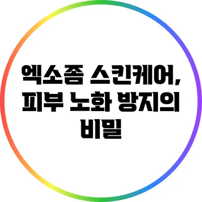 엑소좀 스킨케어, 피부 노화 방지의 비밀