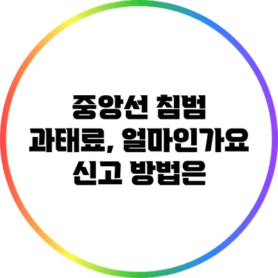 중앙선 침범 과태료, 얼마인가요? 신고 방법은?