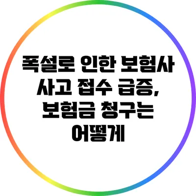 폭설로 인한 보험사 사고 접수 급증, 보험금 청구는 어떻게?