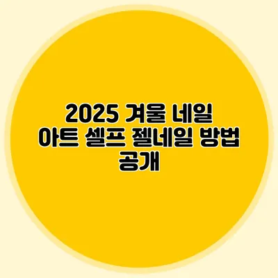 2025 겨울 네일 아트 셀프 젤네일 방법 공개