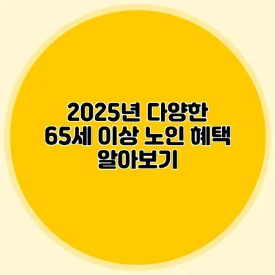 2025년 다양한 65세 이상 노인 혜택 알아보기