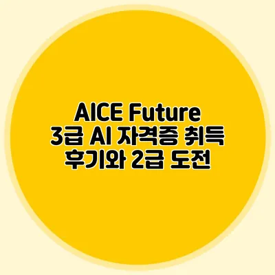 AICE Future 3급 AI 자격증 취득 후기와 2급 도전