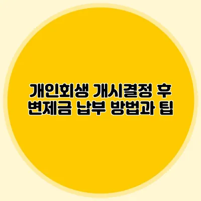 개인회생 개시결정 후 변제금 납부 방법과 팁