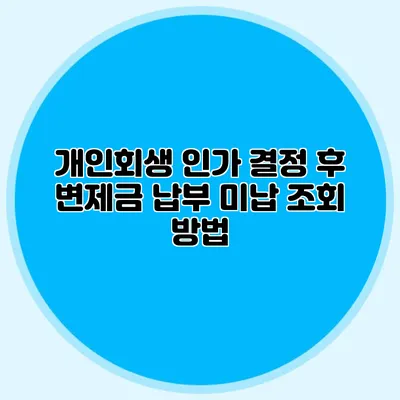 개인회생 인가 결정 후 변제금 납부 미납 조회 방법