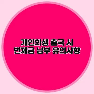 개인회생 출국 시 변제금 납부 유의사항