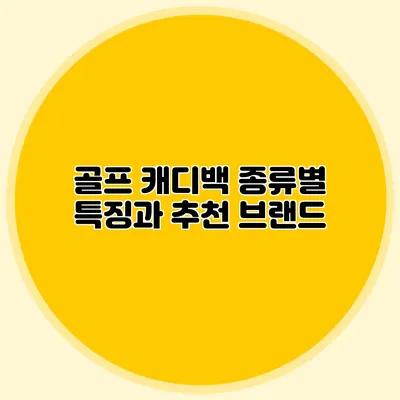골프 캐디백 종류별 특징과 추천 브랜드