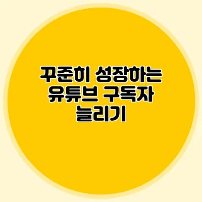 꾸준히 성장하는 유튜브 구독자 늘리기
