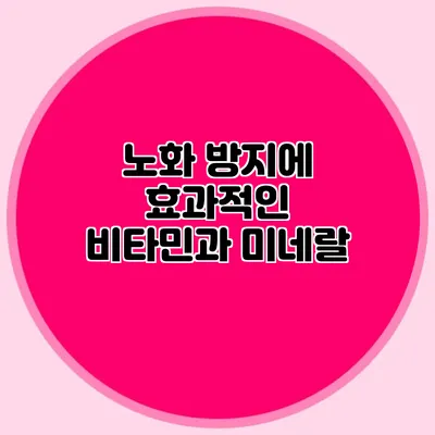 노화 방지에 효과적인 비타민과 미네랄