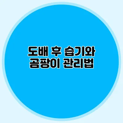 도배 후 습기와 곰팡이 관리법