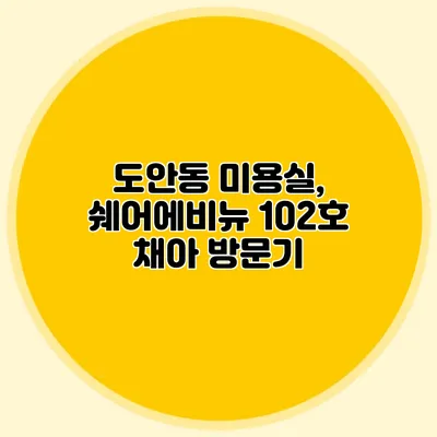 도안동 미용실, 쉐어에비뉴 102호 채아 방문기